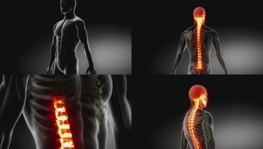 人体脊柱详细的x射线医学扫描高清在线视频素材下载