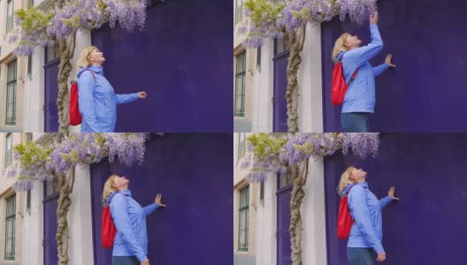 成年女子游客闻着盛开在树枝上的紫色花朵高清在线视频素材下载