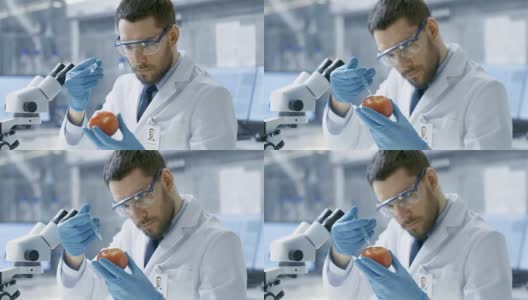 在现代实验室里，食品科学家用注射器给番茄注射。他正在研究这种蔬菜的基因改造:增味、寄生虫/抗寒。高清在线视频素材下载