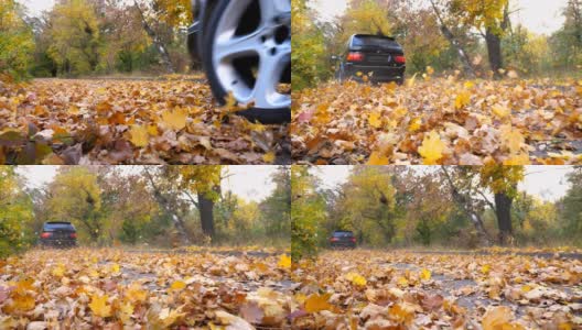 黑色SUV快速行驶在空旷的道路上，越过公园的黄叶。五颜六色的秋叶从汽车车轮下飞了出来。在阳光明媚的日子里，一辆强大的汽车穿过了小路。后视高清在线视频素材下载