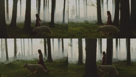 一个女孩和一只狗在森林里散步高清在线视频素材下载