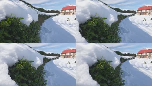 绿茶田里的雪和传统村舍高清在线视频素材下载