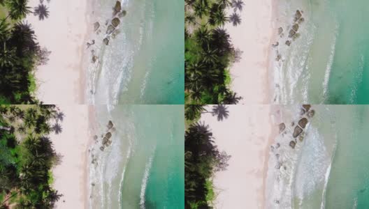 鸟瞰沙滩，棕榈树和海洋高清在线视频素材下载