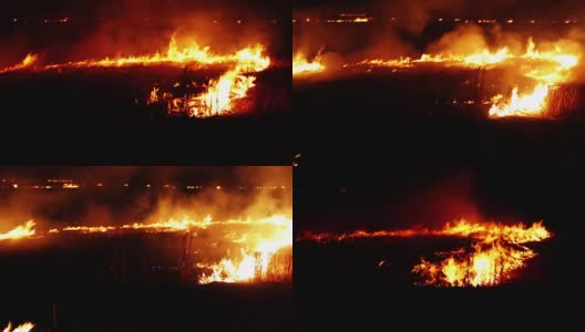 夜间森林起火高清在线视频素材下载