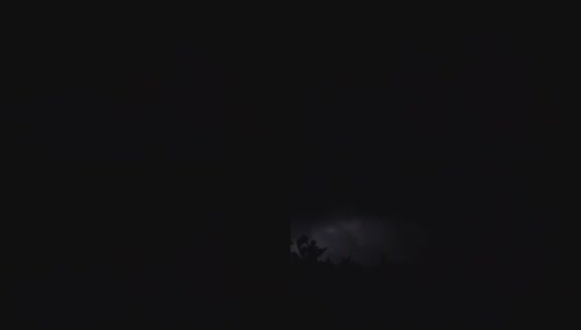 闪电之夜剪影树高清在线视频素材下载