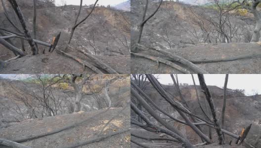 加州大火烧焦山坡的镜头高清在线视频素材下载