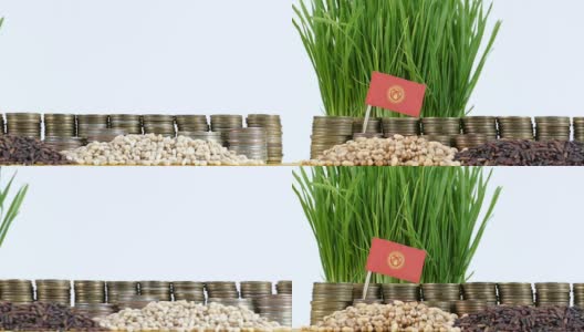 吉尔吉斯斯坦国旗飘扬着成堆的钱币和小麦高清在线视频素材下载
