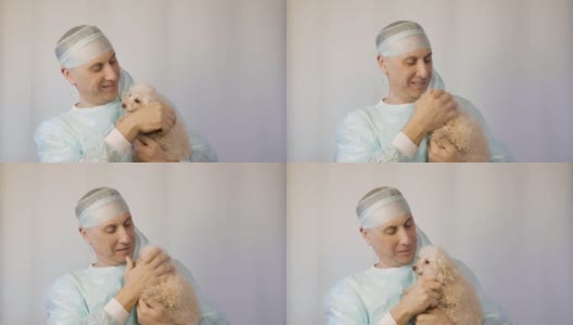 兽医抚摸一只小狗，在手术前安抚它。高清在线视频素材下载