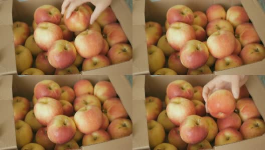 农夫把苹果从箱子里拿出来并分类。新鲜收获的苹果。一个人在市场上买苹果。高清在线视频素材下载