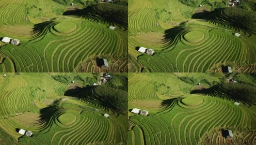 梯田在丘陵或山区耕作，通常在东部，南部和东南亚耕作高清在线视频素材下载