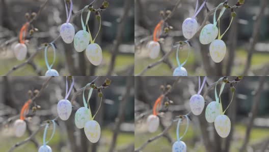 复活节彩蛋挂在树枝上。复活节的作文高清在线视频素材下载