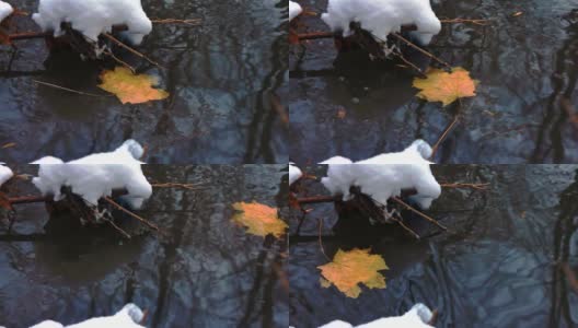 深秋。小溪里落下一片黄色的枫叶，岸边迎来了第一场雪高清在线视频素材下载