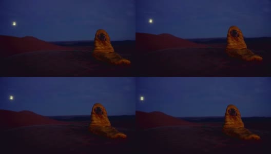 欣赏沙漠的日落。寒冷的晚上。满月。高清在线视频素材下载