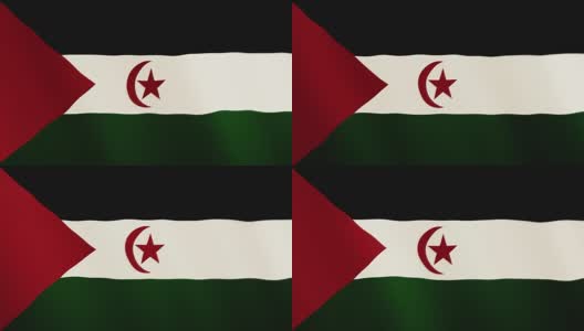 西撒哈拉旗帜飘扬的动画。全屏。国家的象征高清在线视频素材下载