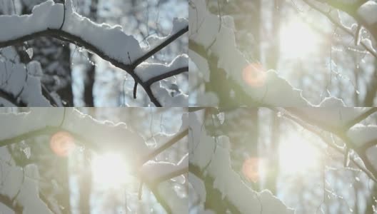 冬天的森林里蜷缩着女巫厚厚的一层雪高清在线视频素材下载