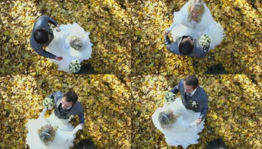 一对新人在秋天的公园里举行婚礼高清在线视频素材下载