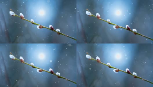 圣诞卡片(4k循环)-雪花与闪光效果。高清在线视频素材下载
