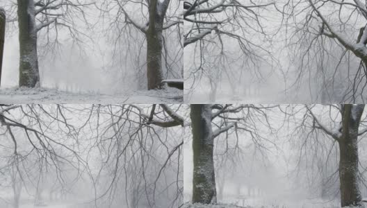 追踪镜头接近被雪覆盖的树枝在林地高清在线视频素材下载