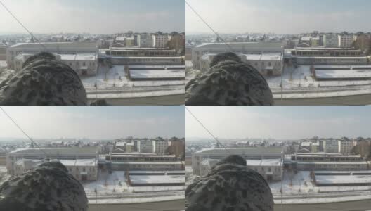 窗台上的鸽子是冷的高清在线视频素材下载