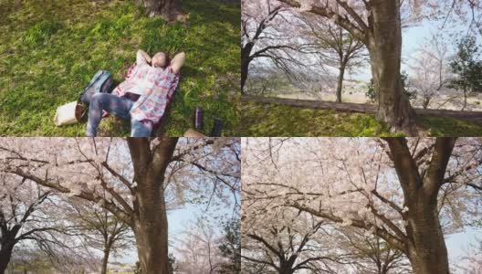 躺在樱花树下草地上的女人向上倾斜高清在线视频素材下载