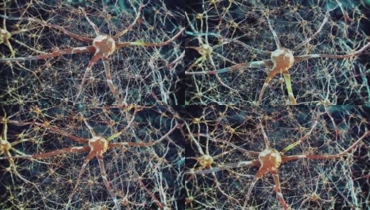 大脑中的神经元活动高清在线视频素材下载