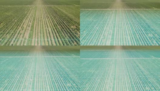 农业领域的未来扫描仪高清在线视频素材下载