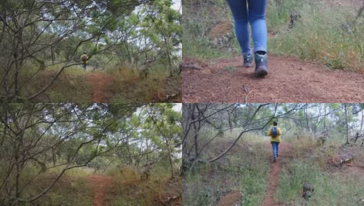 女性在大自然中徒步旅行高清在线视频素材下载
