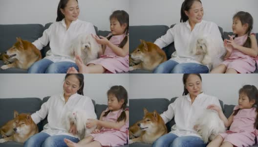 亚洲妈妈和女儿在家里快乐地和狗玩耍高清在线视频素材下载