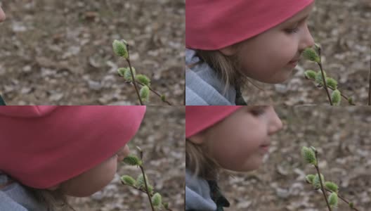 小女孩在大自然中呼吸着柳树开花的气味。慢动作高清在线视频素材下载