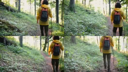 年轻人在森林里徒步旅行高清在线视频素材下载