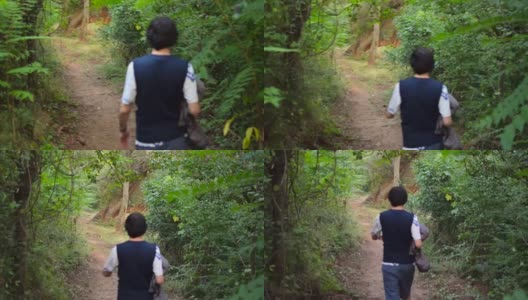 Walking in the forest高清在线视频素材下载