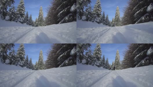 一对夫妇在阳光明媚的日子里越野滑雪高清在线视频素材下载