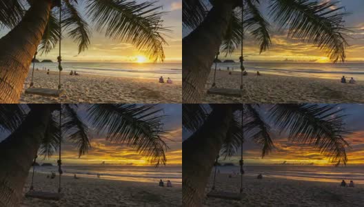 海滩上的树与日落背景4K或超高清分辨率。高清在线视频素材下载