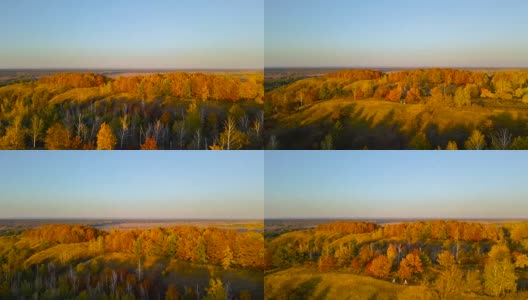 鸟瞰图:飞越秋天的森林。高清在线视频素材下载