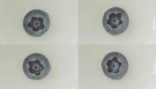 甜美的蓝莓孤立在白色的背景高清在线视频素材下载