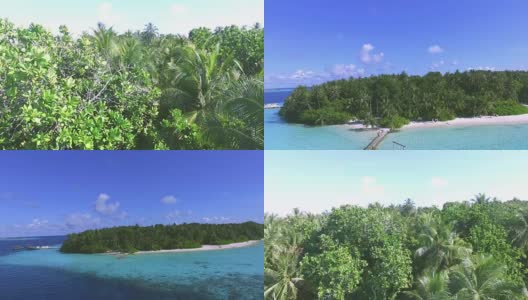 丛林在马尔代夫高清在线视频素材下载