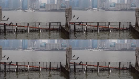 上海黄浦江垃圾门。高清在线视频素材下载