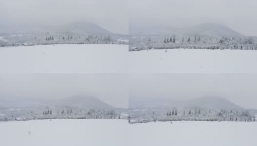 鸟瞰美丽的冬季森林，白雪覆盖的田野和山脉，林地空中拍摄。飞越森林，自然背景的运动。山区或自然保护区的景观高清在线视频素材下载