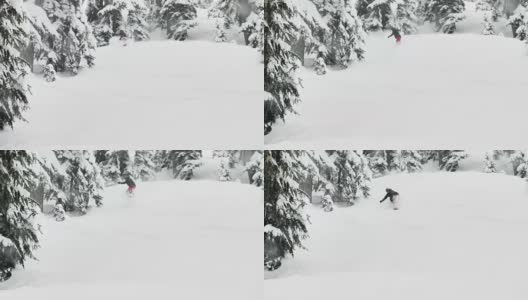 滑雪滑下滑雪坡骑板穿红裤子黑夹克飞粉末雪花向相机-冬季运动高清在线视频素材下载