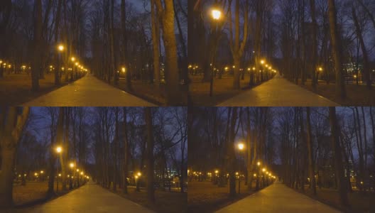 公园里秋天的夜巷高清在线视频素材下载