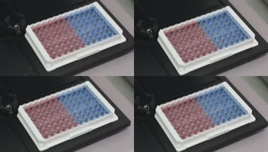 实验室恒温振动筛创建旋转流体运动，并在免疫板中保持所需温度高清在线视频素材下载