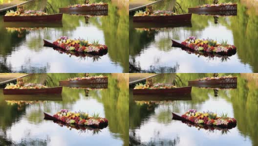 五颜六色的菊花花在木船上漂浮在河中，有美丽的倒影，4k镜头，慢镜头。高清在线视频素材下载