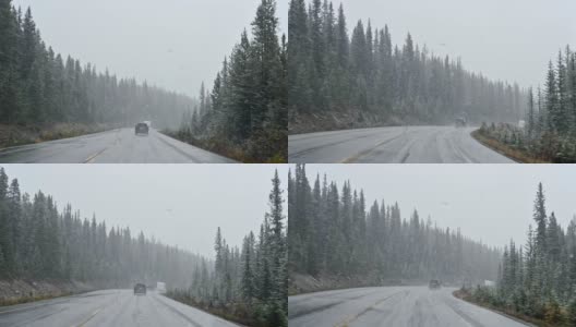 在班夫国家公园的松林里，一辆汽车在大雪中行驶在高速公路上高清在线视频素材下载