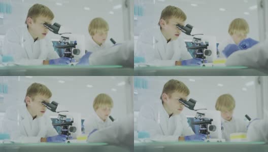 好奇的男孩在实验室工作。使用显微镜和准备实验。跟着父亲学习，校准显微镜高清在线视频素材下载