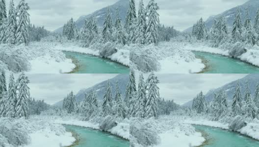 田园诗般的冬季景观高清在线视频素材下载