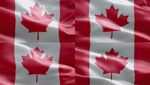 National flag Canadian wave Pattern loopable Elements高清在线视频素材下载