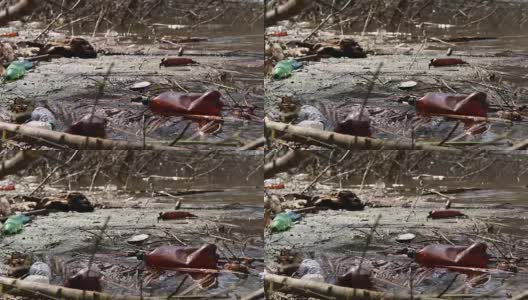 水资源的生态灾害。从塑料垃圾高清在线视频素材下载