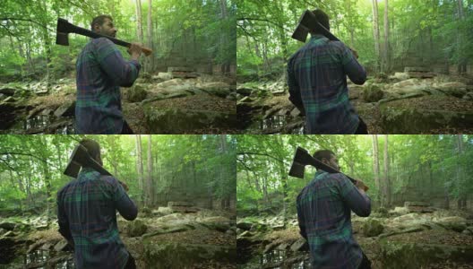 砍伐森林中的树木- 4K分辨率高清在线视频素材下载