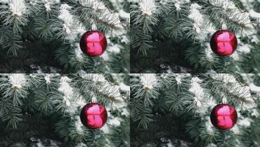 红色圣诞球挂在蓝色云杉枝在下雪的室外高清在线视频素材下载