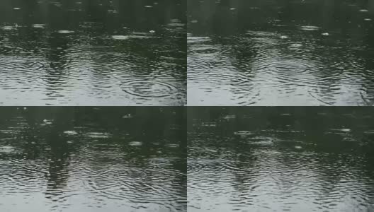 雨落湖上高清在线视频素材下载